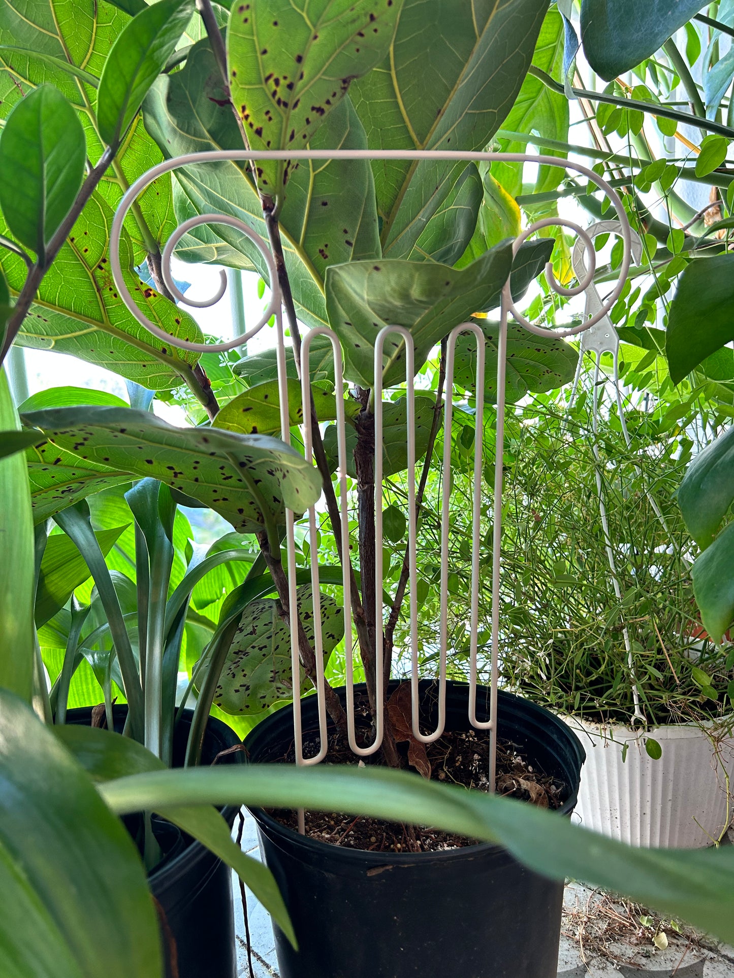 Greek Column Plant Trellis