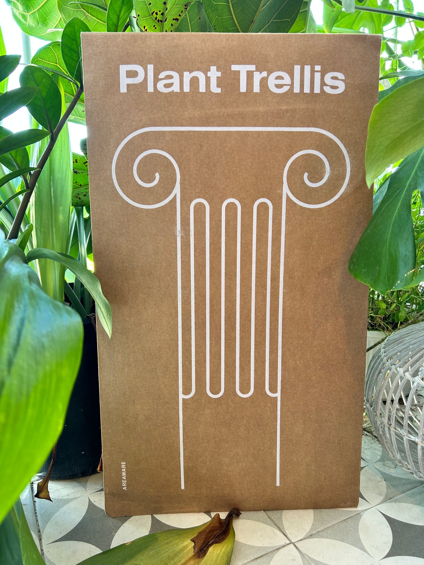 Greek Column Plant Trellis