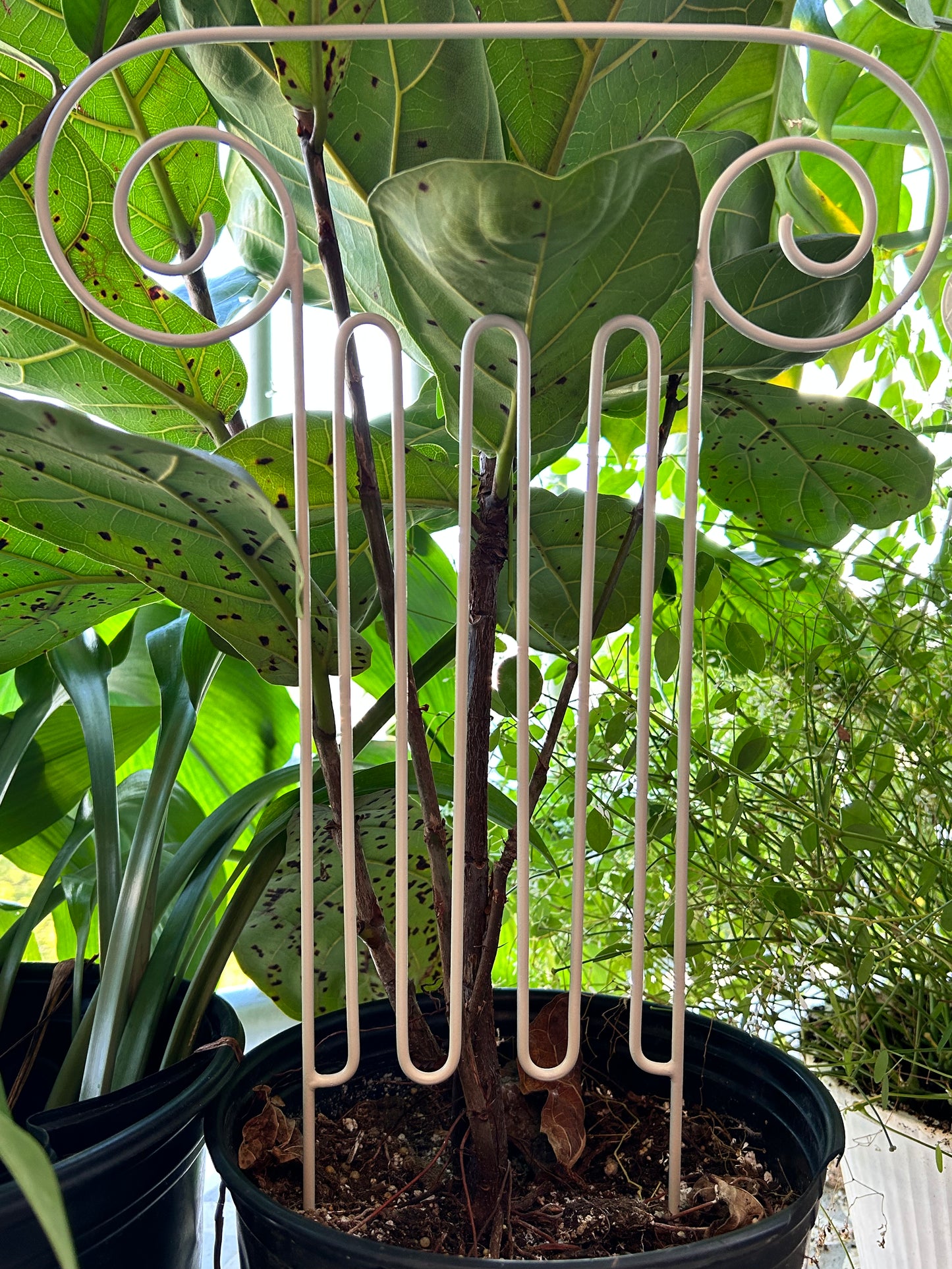 Greek Column Plant Trellis